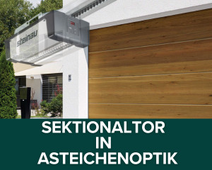 Sektionaltor in Asteichenoptik